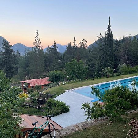 Trinitys Forest Bungalows Kemer Zewnętrze zdjęcie