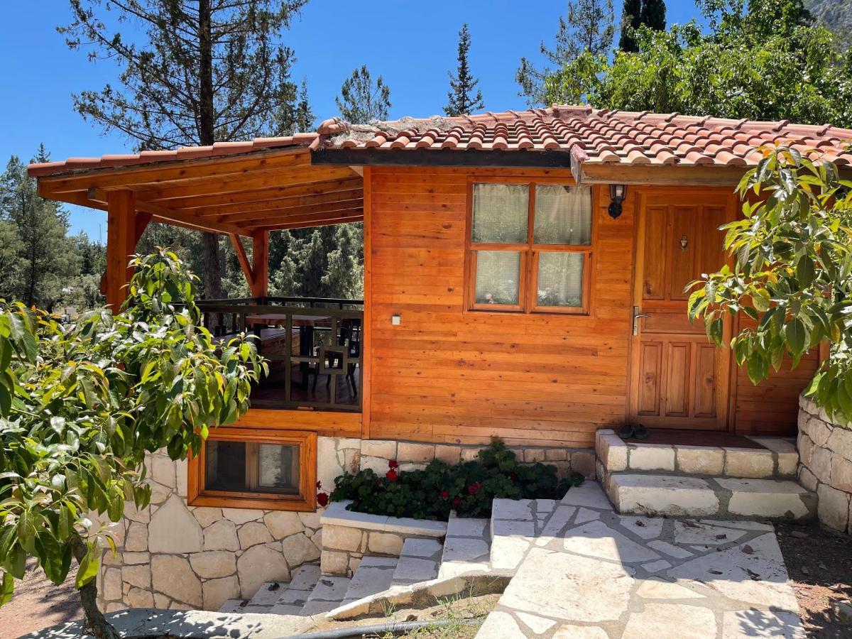 Trinitys Forest Bungalows Kemer Zewnętrze zdjęcie