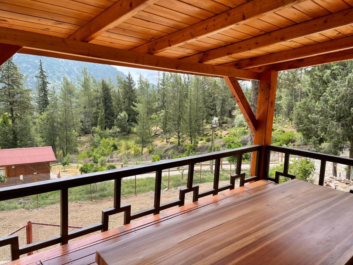 Trinitys Forest Bungalows Kemer Zewnętrze zdjęcie