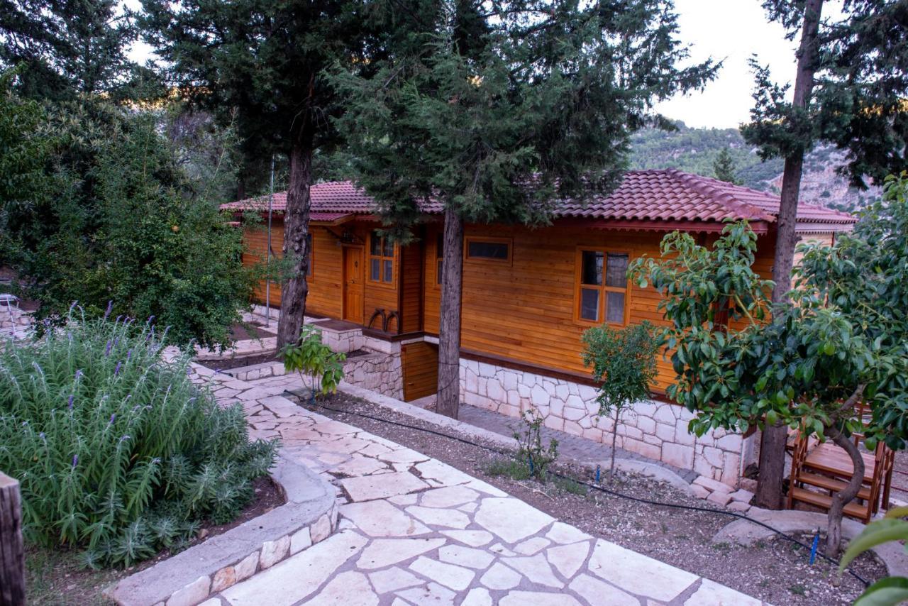 Trinitys Forest Bungalows Kemer Zewnętrze zdjęcie