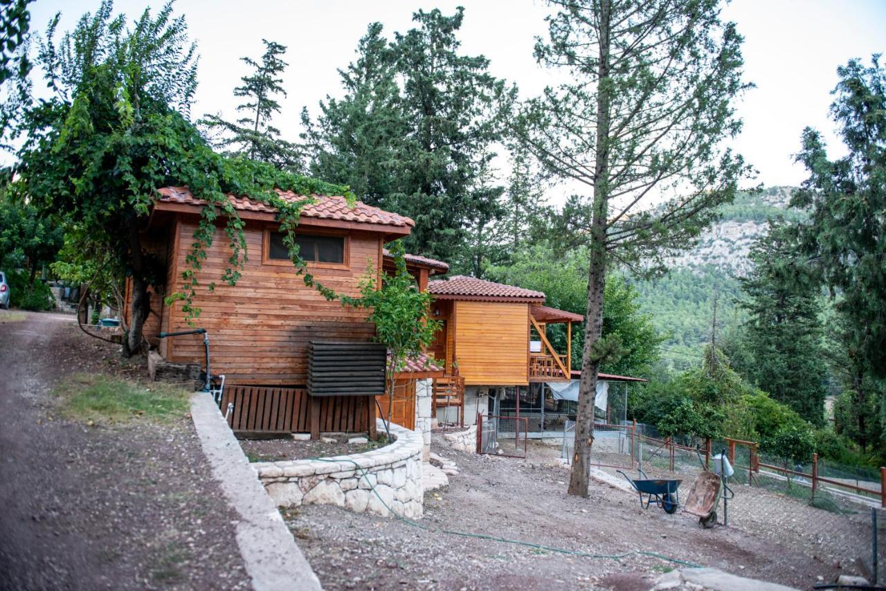 Trinitys Forest Bungalows Kemer Zewnętrze zdjęcie