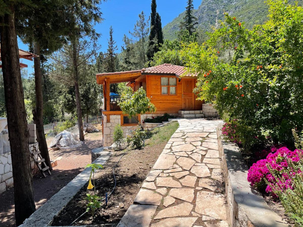 Trinitys Forest Bungalows Kemer Zewnętrze zdjęcie
