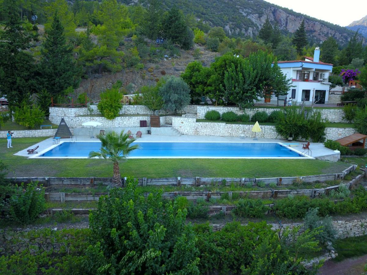 Trinitys Forest Bungalows Kemer Zewnętrze zdjęcie