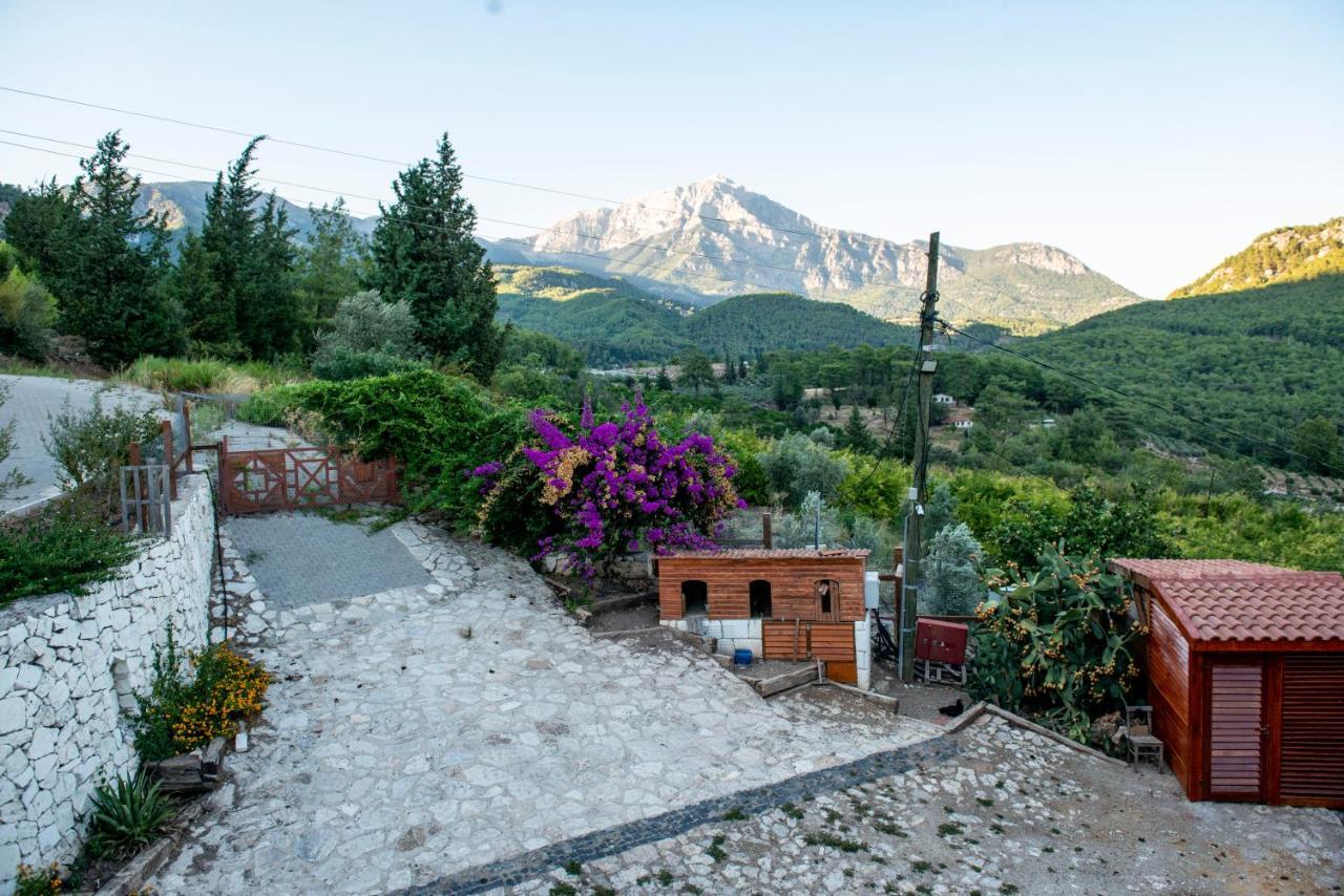 Trinitys Forest Bungalows Kemer Zewnętrze zdjęcie