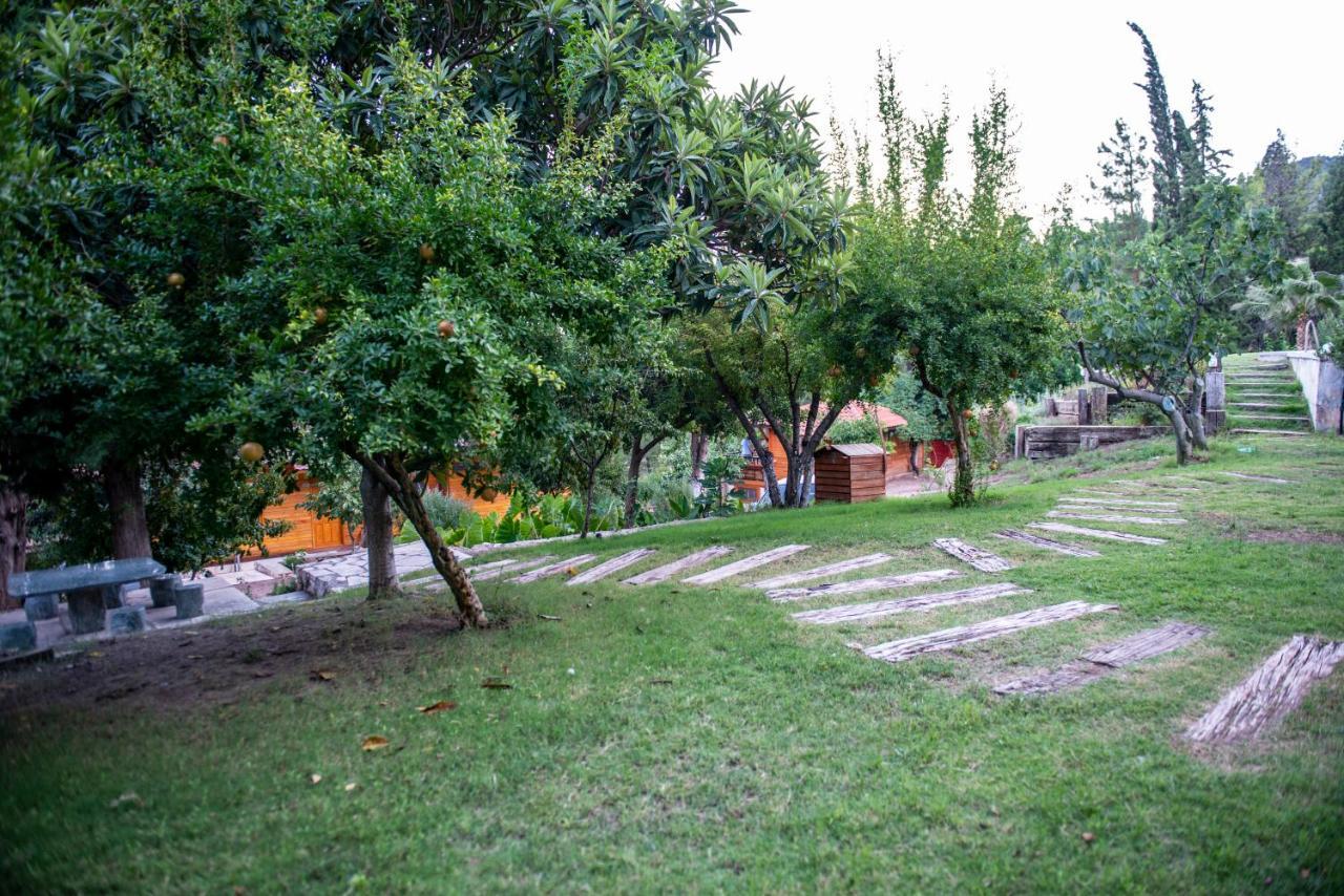 Trinitys Forest Bungalows Kemer Zewnętrze zdjęcie