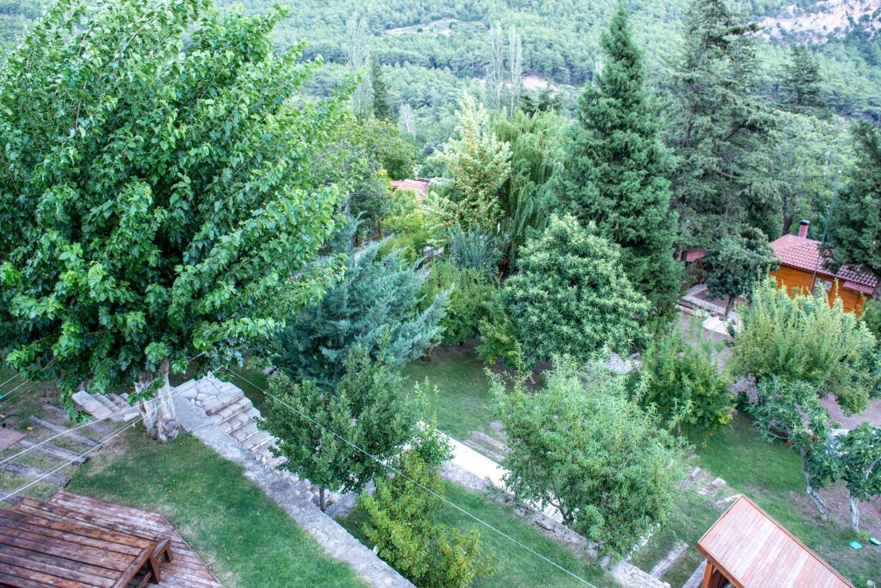 Trinitys Forest Bungalows Kemer Zewnętrze zdjęcie