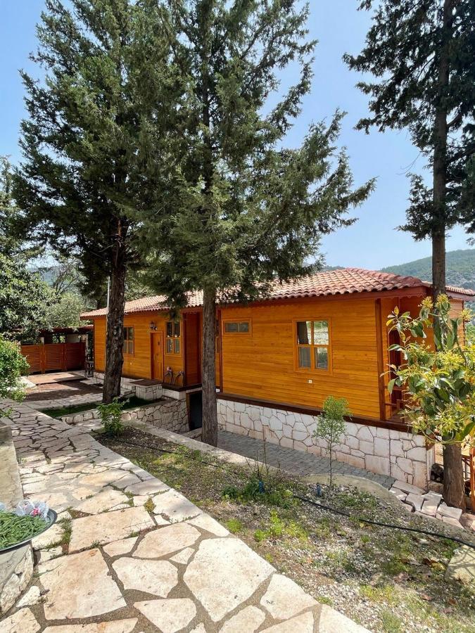 Trinitys Forest Bungalows Kemer Zewnętrze zdjęcie