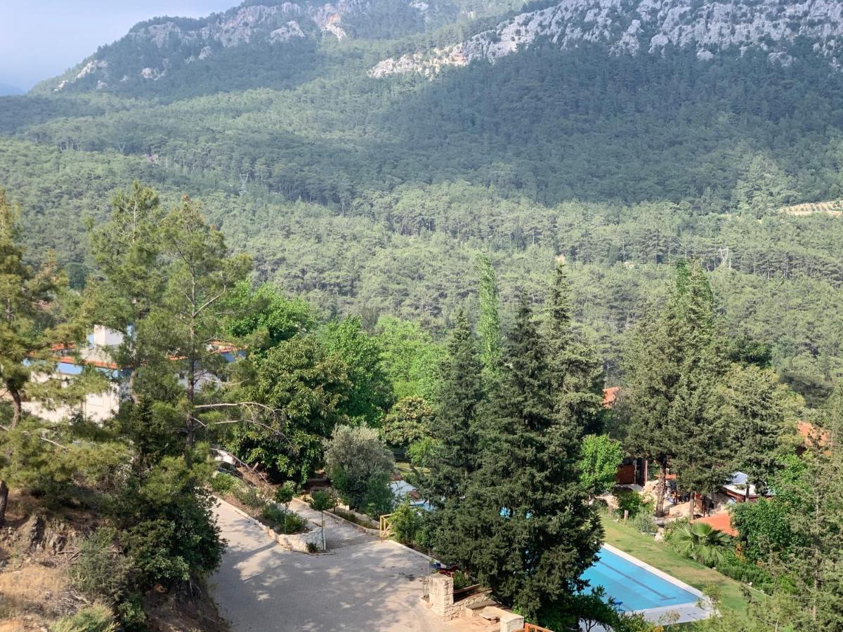 Trinitys Forest Bungalows Kemer Zewnętrze zdjęcie