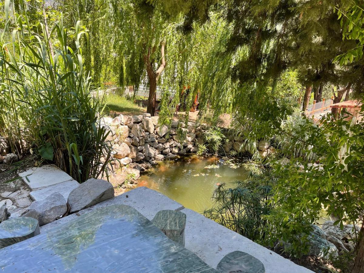 Trinitys Forest Bungalows Kemer Zewnętrze zdjęcie