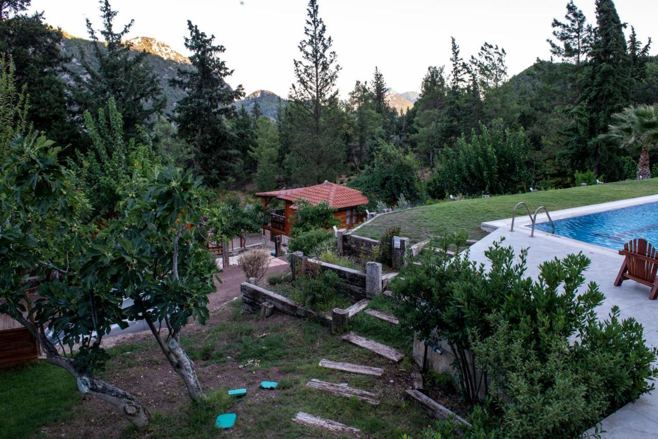 Trinitys Forest Bungalows Kemer Zewnętrze zdjęcie