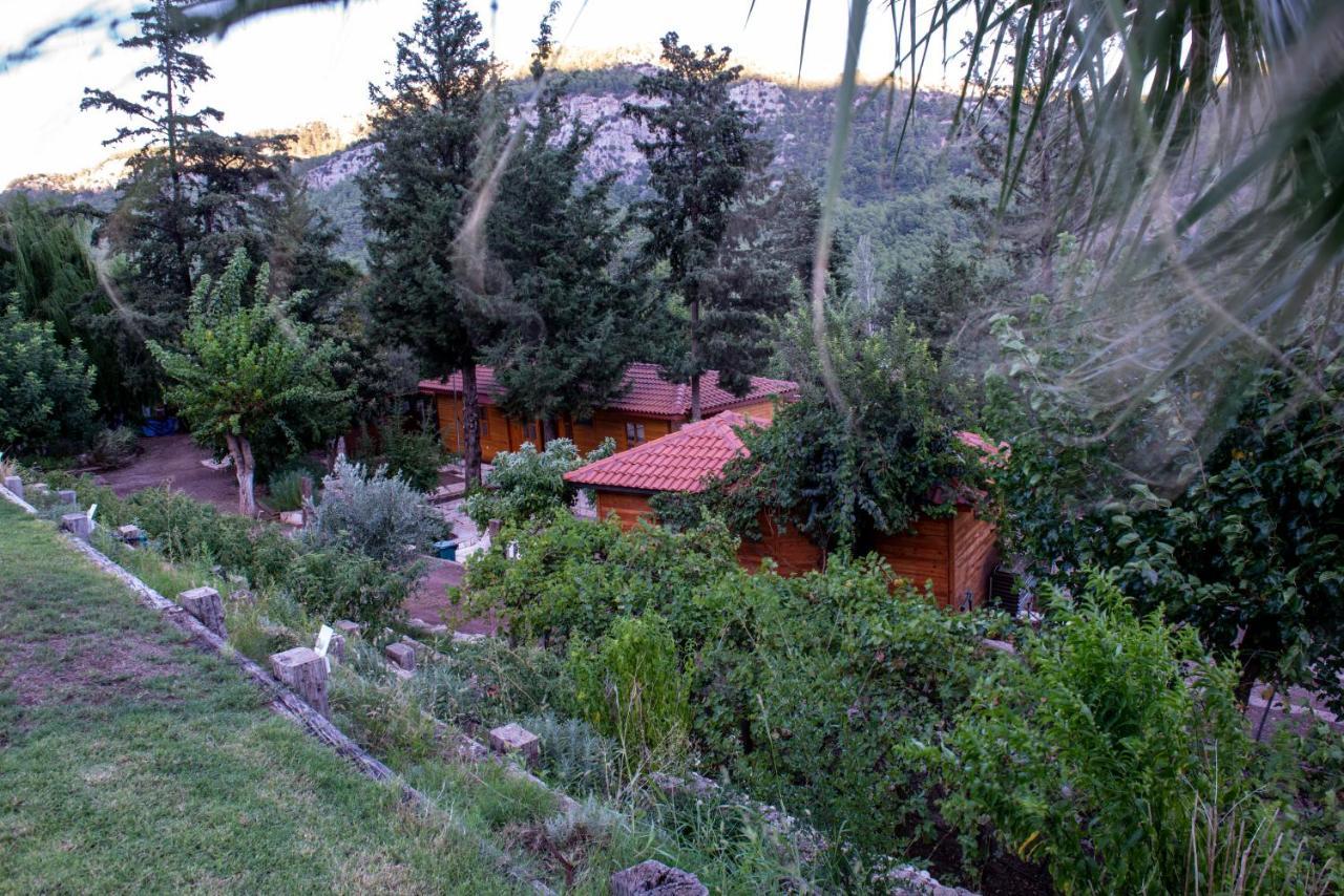 Trinitys Forest Bungalows Kemer Zewnętrze zdjęcie