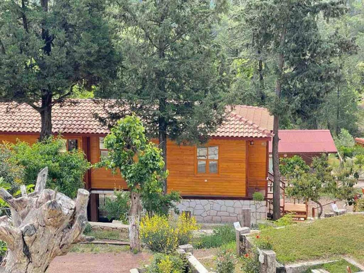 Trinitys Forest Bungalows Kemer Zewnętrze zdjęcie