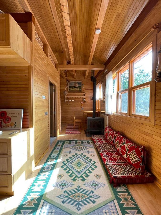 Trinitys Forest Bungalows Kemer Zewnętrze zdjęcie