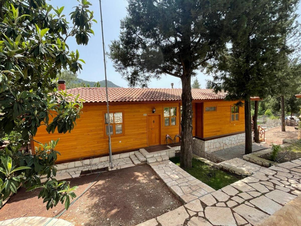 Trinitys Forest Bungalows Kemer Zewnętrze zdjęcie