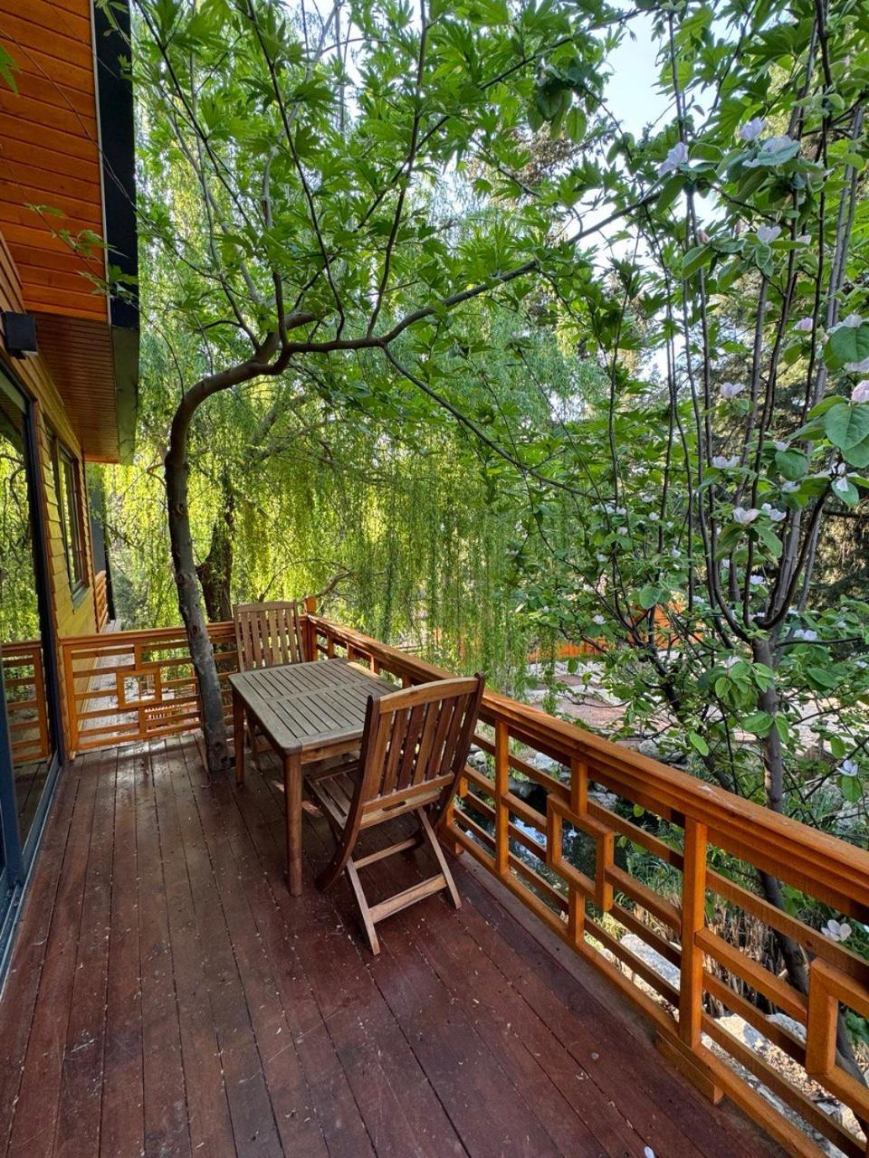 Trinitys Forest Bungalows Kemer Zewnętrze zdjęcie