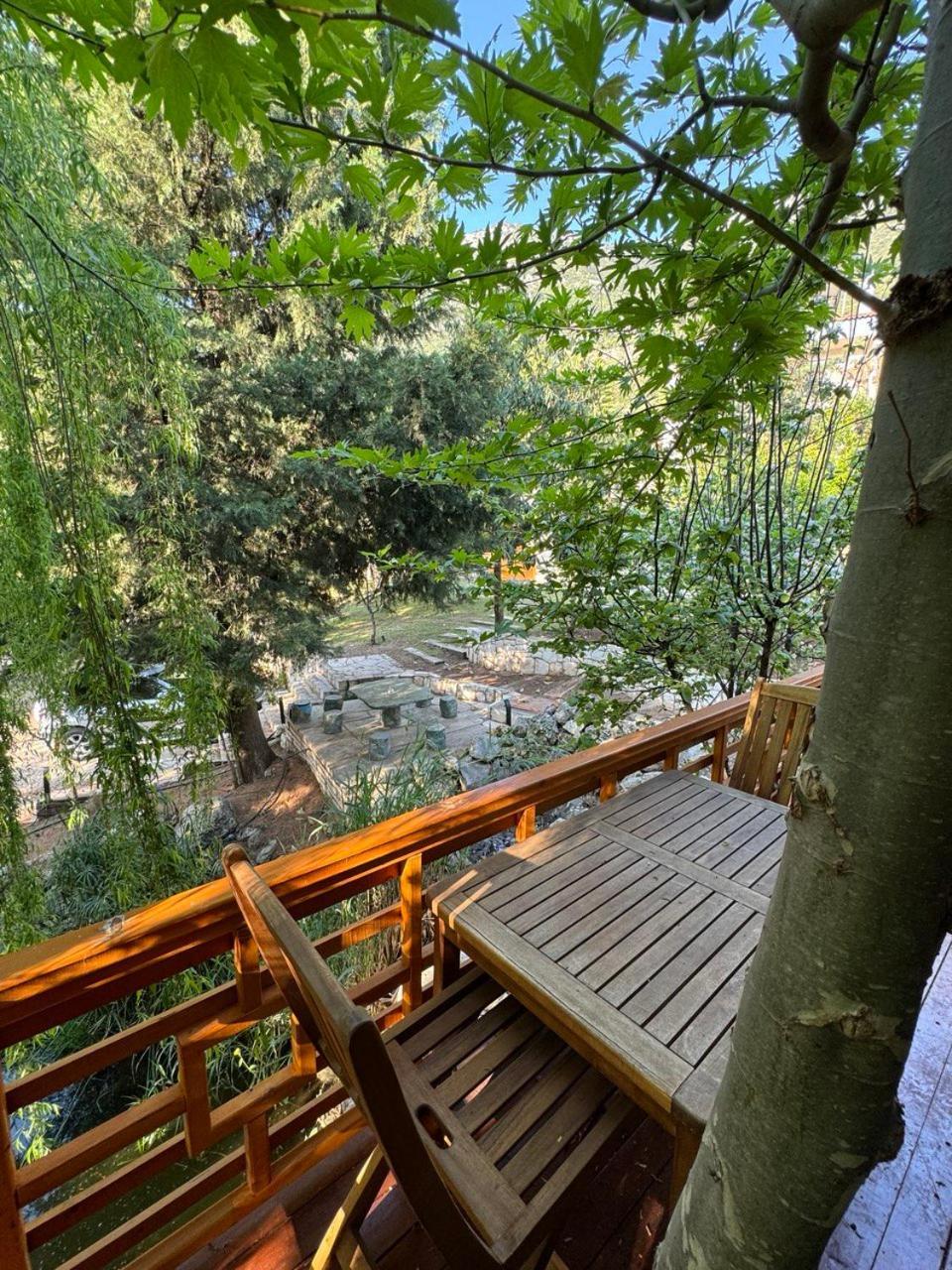 Trinitys Forest Bungalows Kemer Zewnętrze zdjęcie