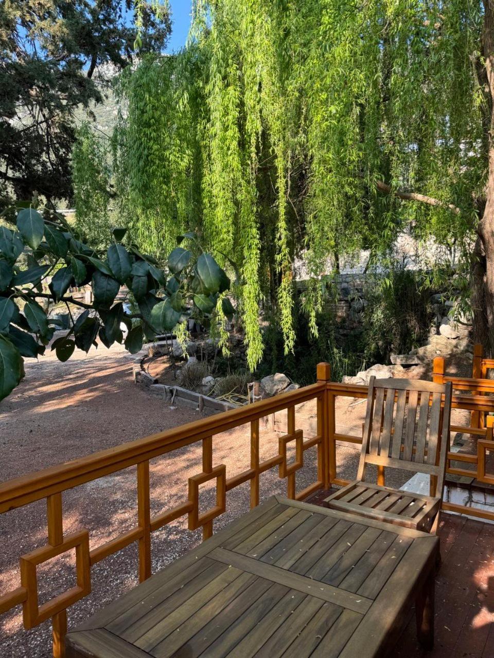 Trinitys Forest Bungalows Kemer Zewnętrze zdjęcie