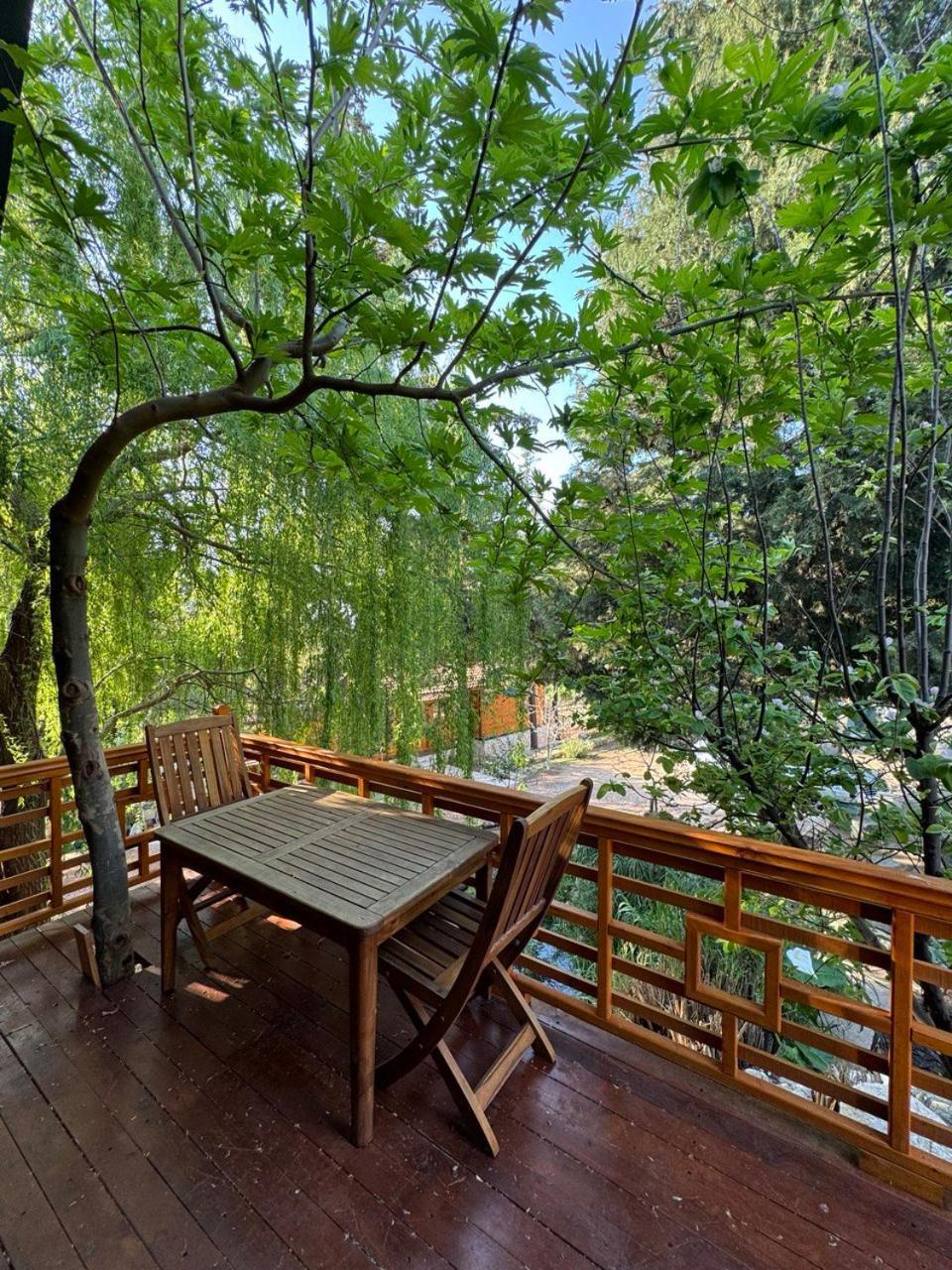 Trinitys Forest Bungalows Kemer Zewnętrze zdjęcie